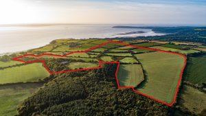 Raheen, Passage East, X91W2C7