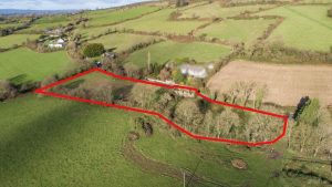 Rahillakeen, Mullinavat, Co. Kilkenny